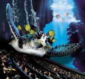 3D Deepsea Audience IMAX