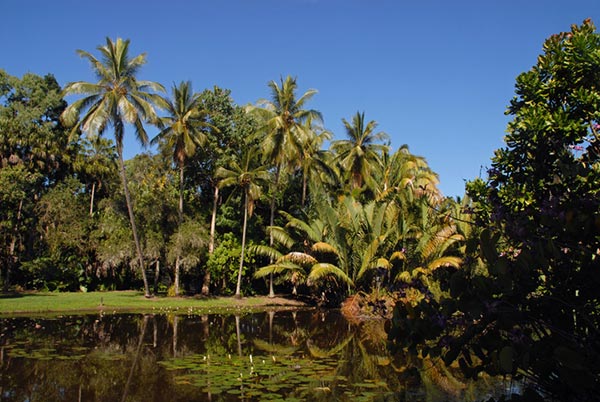 Wander through the Cairns Botanical Gardens
