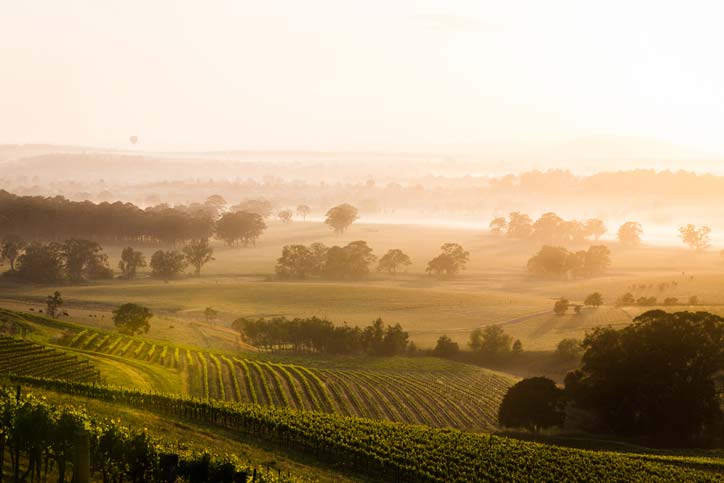 Best time to travel to the Hunter Valley