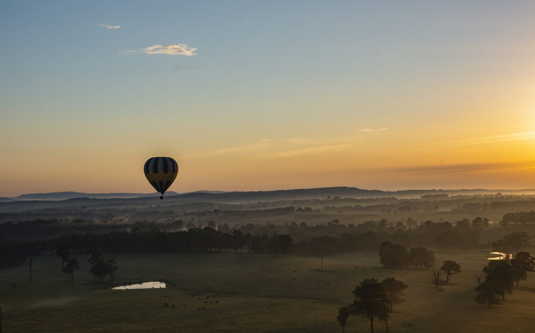 Hot air balloon in Hunter Valley